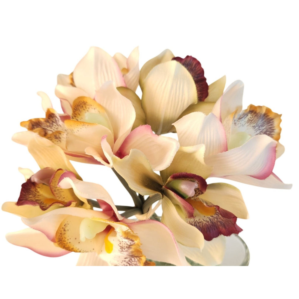 Artificial Cymbidium Orchids, Set of 7, 9-Inch Cream Blush Faux Flowers