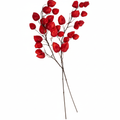 Main image — white background