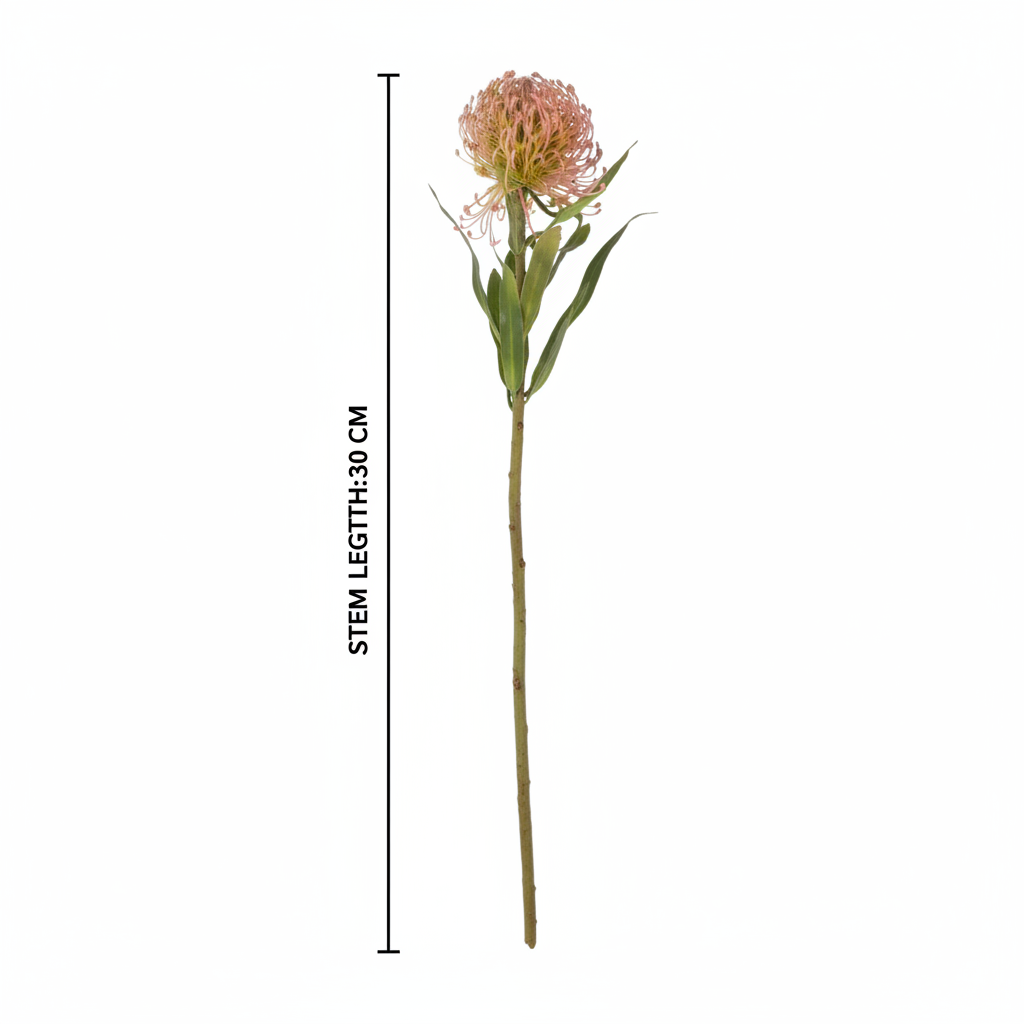 Measurement diagram