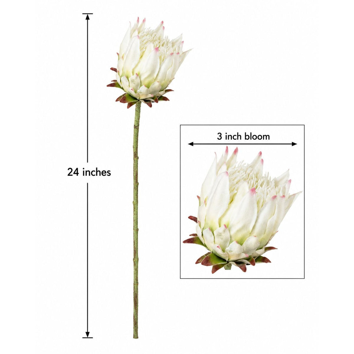 1 Artificial Faux Protea Flower Stem Cream White Pink Tips 24 Inch Wired Tropical Wedding Floral