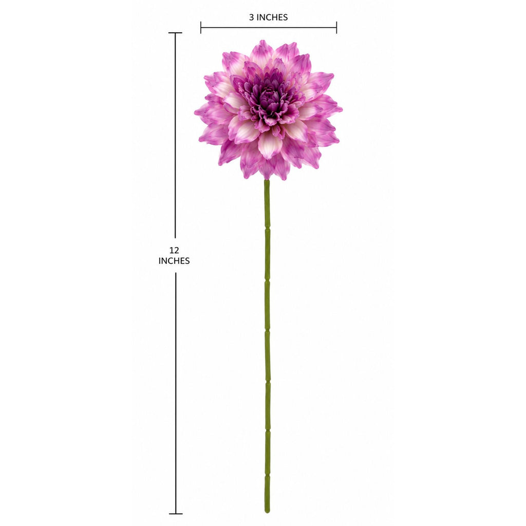 Measurement chart of a pink flower with dimensions labeled on a white background
