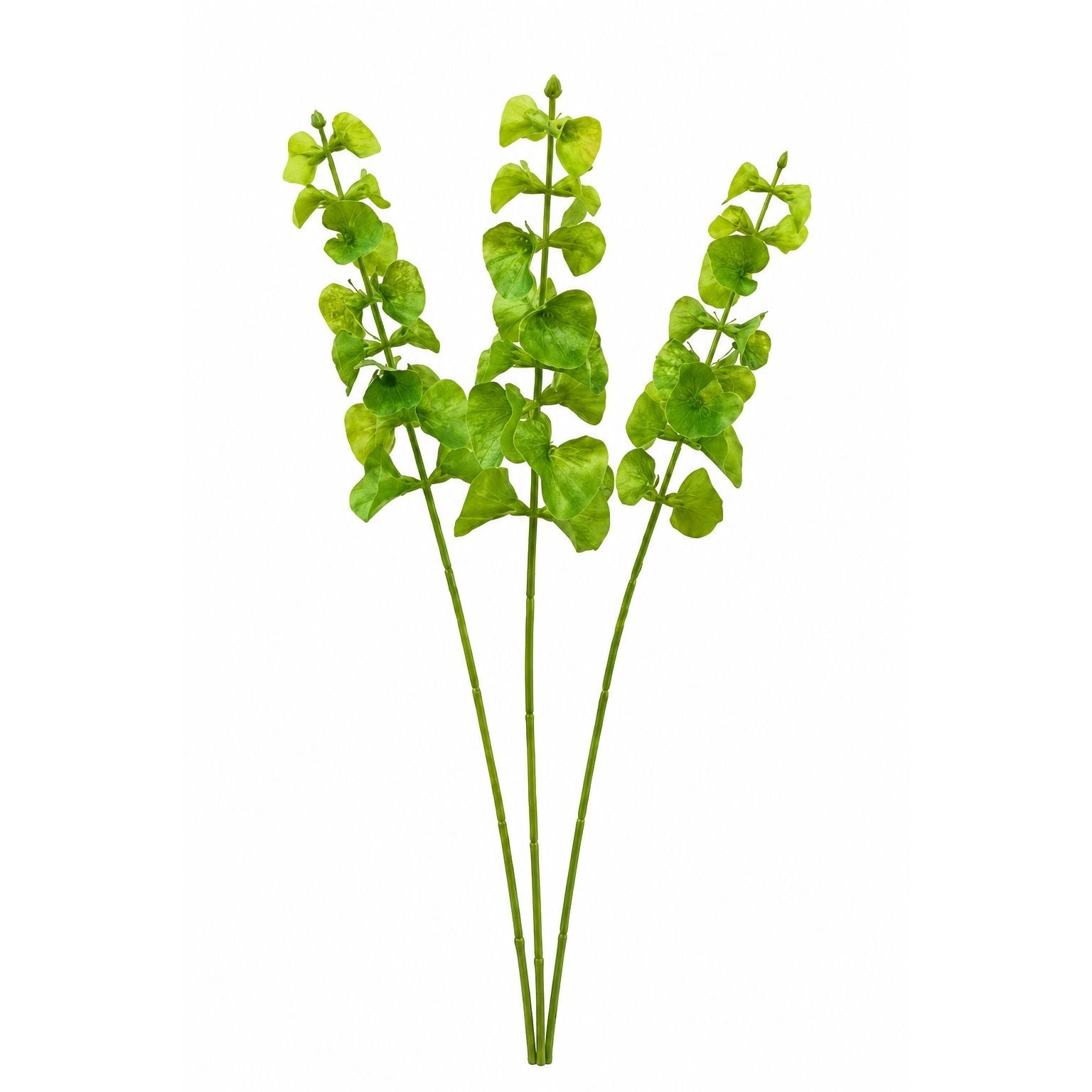 Green Artificial Bells of Ireland Stems Set of 3 26 Inch Real Touch Faux Flowers