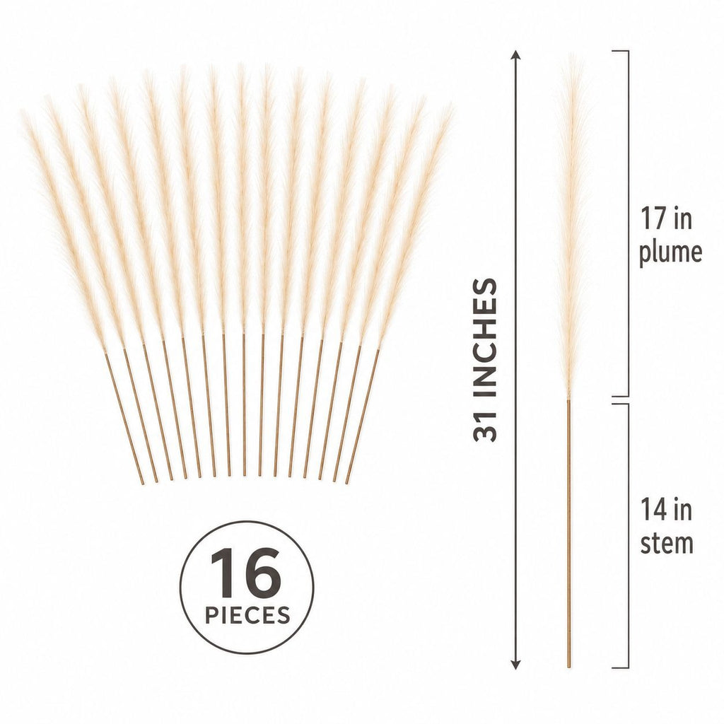 A set of 16 natural pampas grass stems arranged in a fan shape on a white background, with dimension labels showing a total height of 31 inches and a stem height of 14 inches, plus a note indicating 16 pieces.