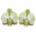 Jade Green Real Touch Orchid Heads Set of 2, 3.5 Inch Phalaenopsis Blooms for Corsage Boutonniere Crafts