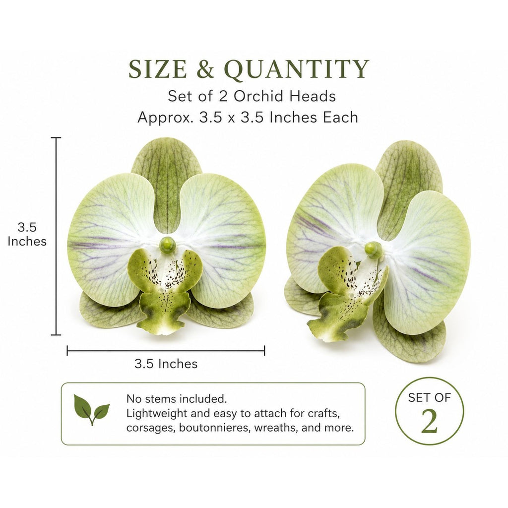 Jade Green Real Touch Orchid Heads Set of 2, 3.5 Inch Phalaenopsis Blooms for Corsage Boutonniere Crafts