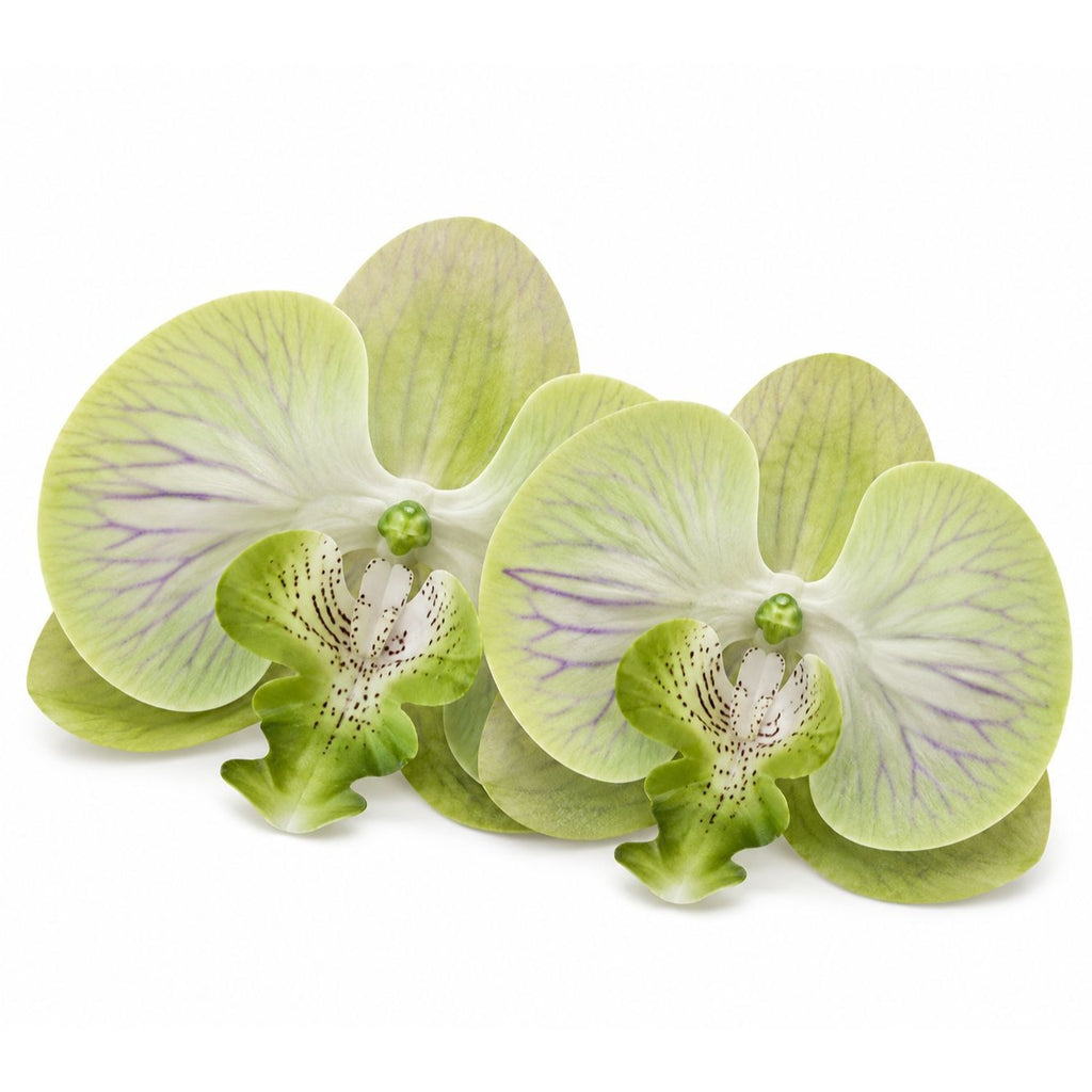 Jade Green Real Touch Orchid Heads Set of 2, 3.5 Inch Phalaenopsis Blooms for Corsage Boutonniere Crafts