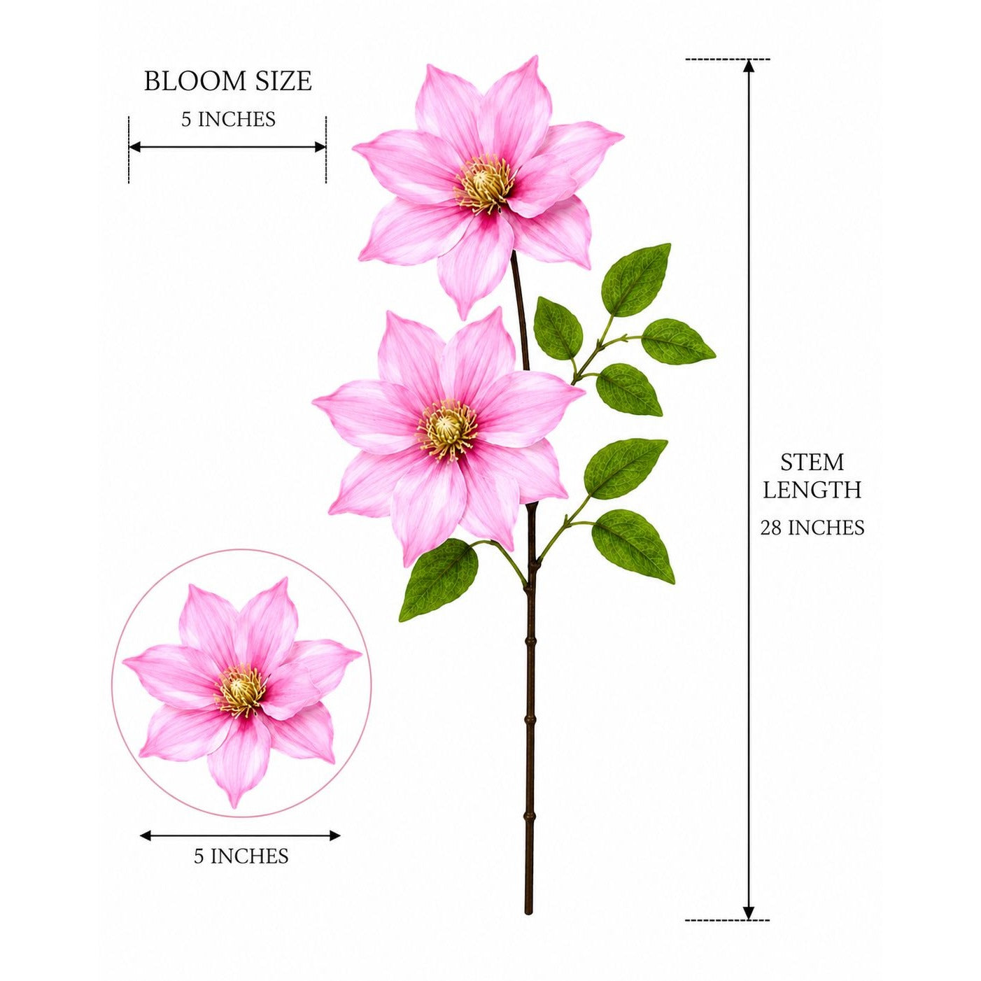 Measurement chart of pink flowers with dimensions labeled