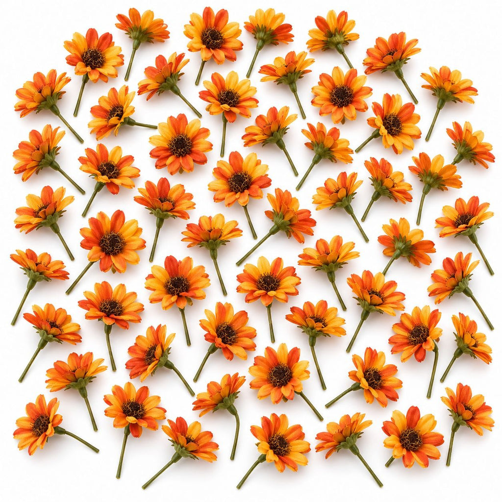 A dense arrangement of small orange and yellow daisy-like flowers with dark centers and green stems, laid out in a flat pattern on a white background.