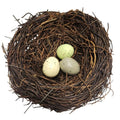 Rustic Bird Nest With Decorative Eggs 6 Inch Natural Spring Farmhouse Easter Decor

