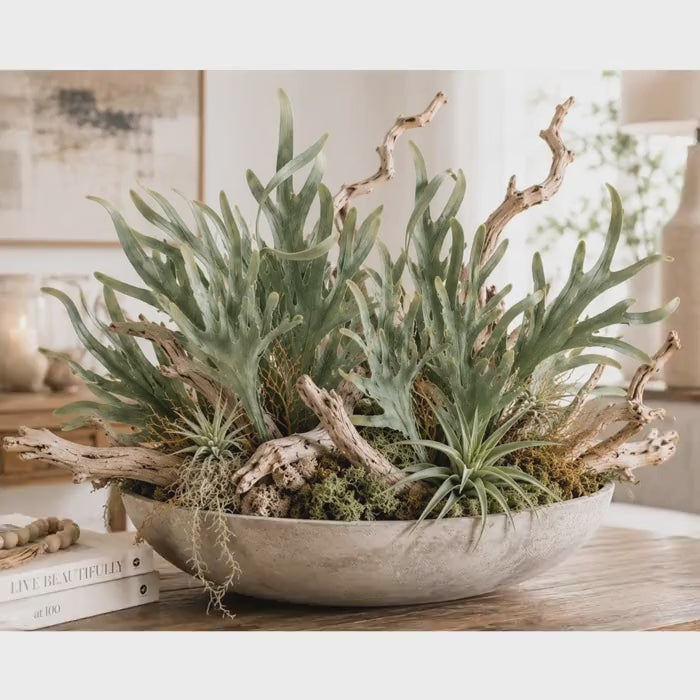 Artificial Staghorn Fern Spray Faux Fern Greenery Coastal Decor Tropical Decor Farmhouse Greenery Boho Wall Decor Faux Plant Stem