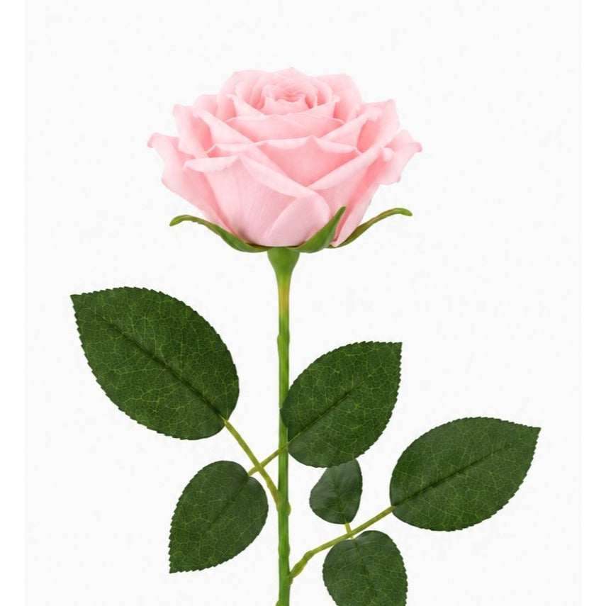 Artificial Light Pink Rose Stems Set of 6 Faux Blush Roses 20 Inch Wedding Cottage Garden Baby Shower Decor