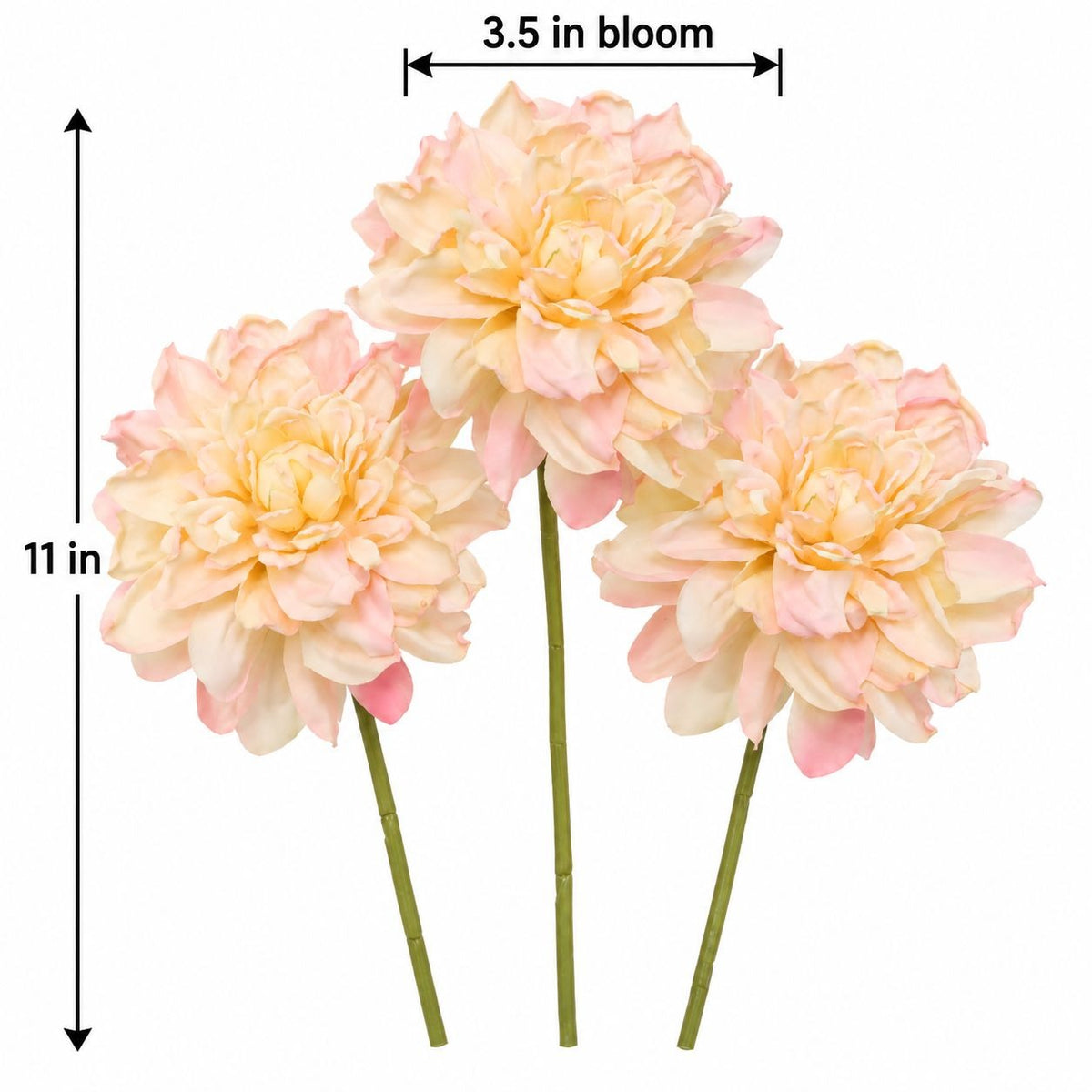 Three artificial dahlia-style flowers with pale peach, cream, and pink petals on green stems, shown on a white background with dimension arrows indicating 11 in height and 3.5 in bloom width.