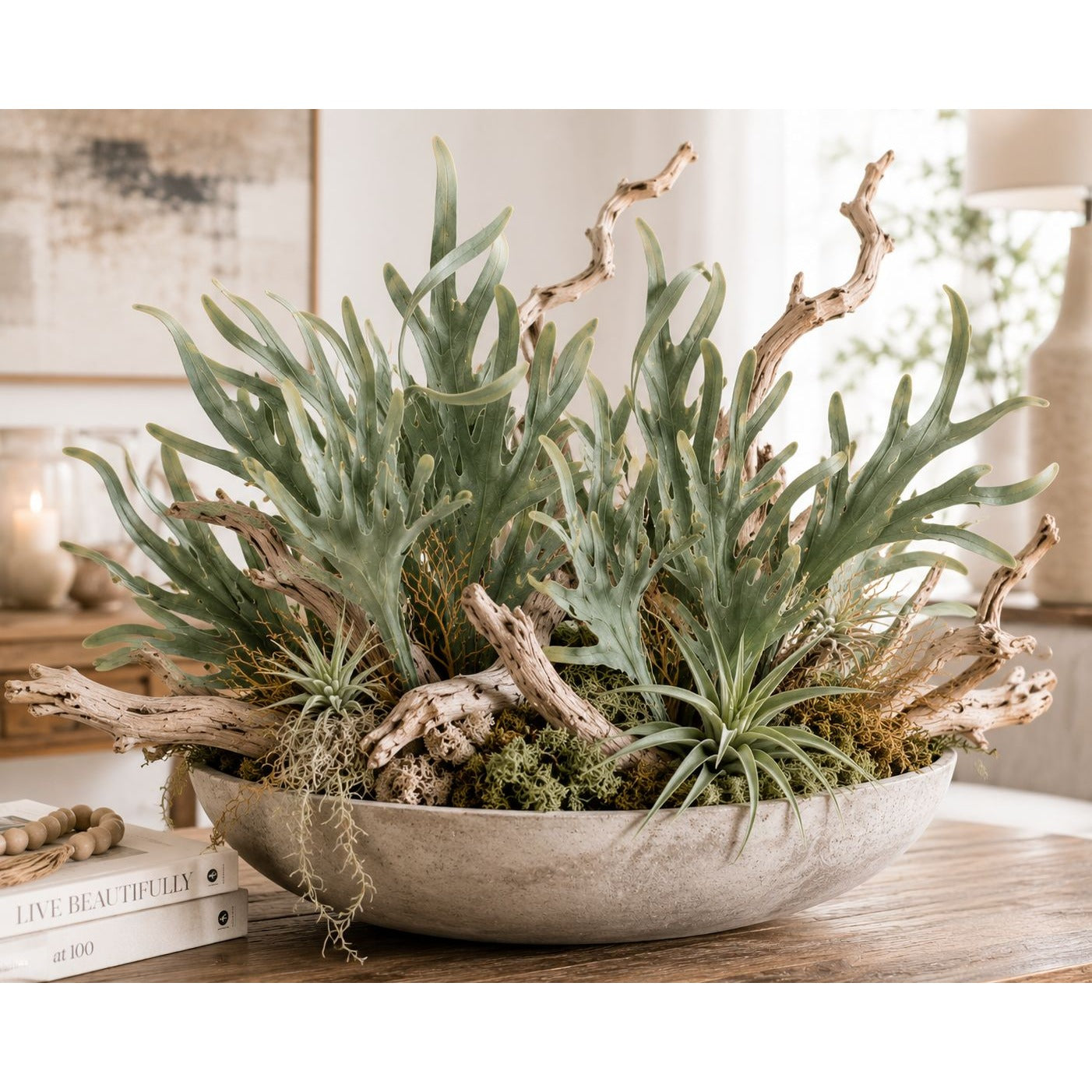 Decorative arrangement of plants and driftwood in a bowl on a table.