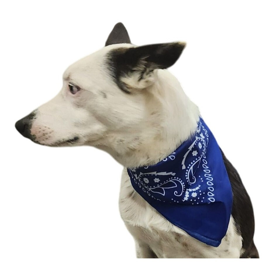 Bandanas 21x21" Western Cowboy Cowgirl - Red White Blue Paisley Square Scarves 3 Pack