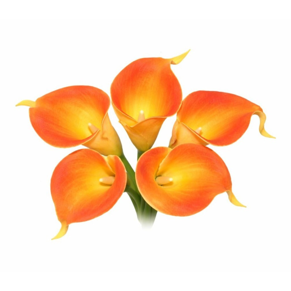 Orange Calla Lily Bundle Faux Flowers 5 Stem Bouquet Vintage Floral Decor Wedding Arrangement Artificial Blooms Home Decor