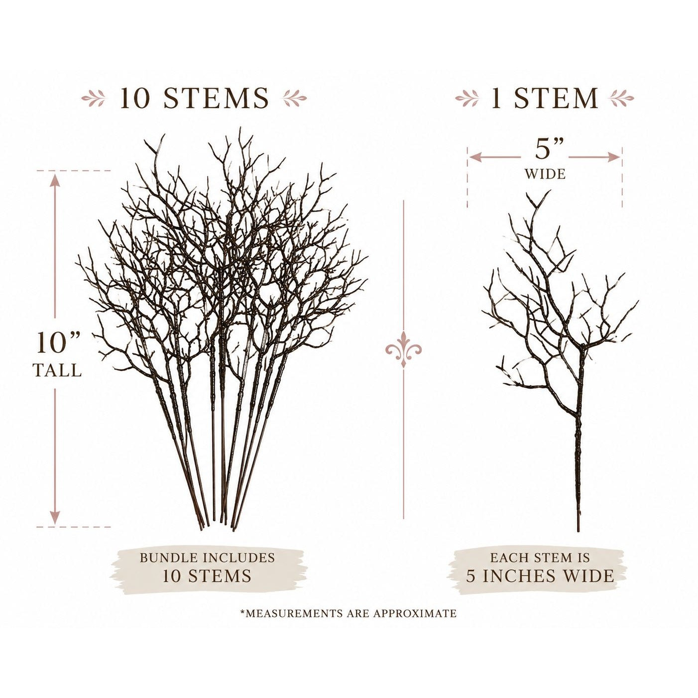 Illustration of tree branches with measurements on a white background