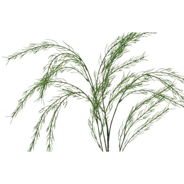 3 Artificial Asparagus Fern Stems 36 Inch, Faux Greenery for Roses, Weddings, and Floral Arrangements