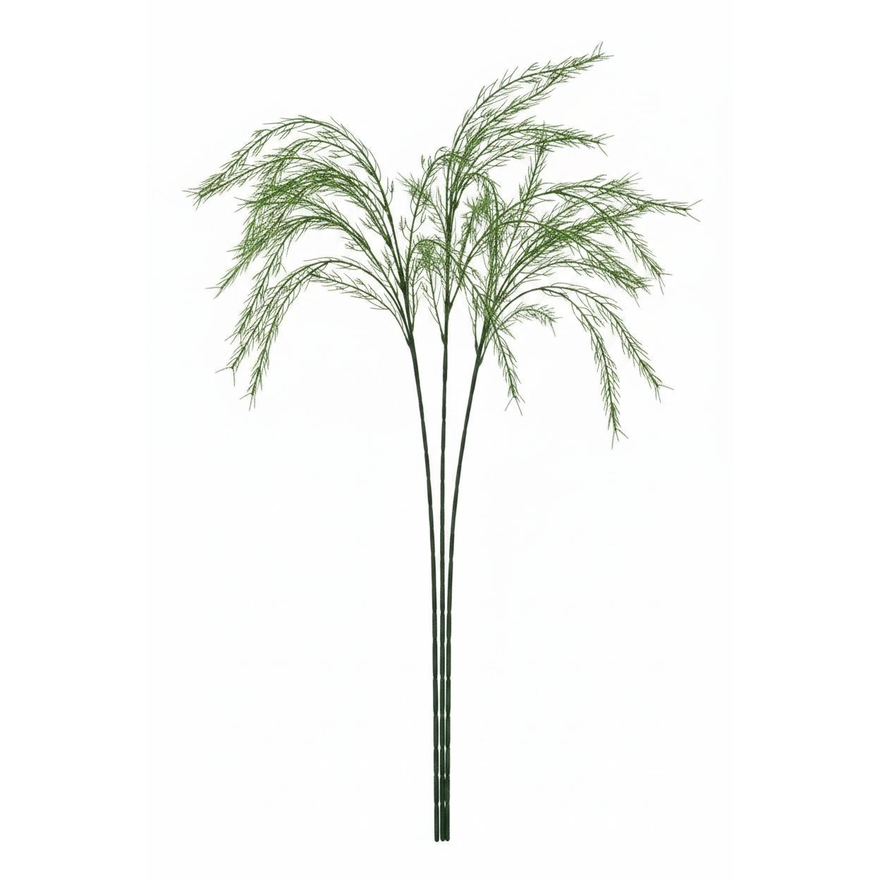 3 Artificial Asparagus Fern Stems 36 Inch, Faux Greenery for Roses, Weddings, and Floral Arrangements