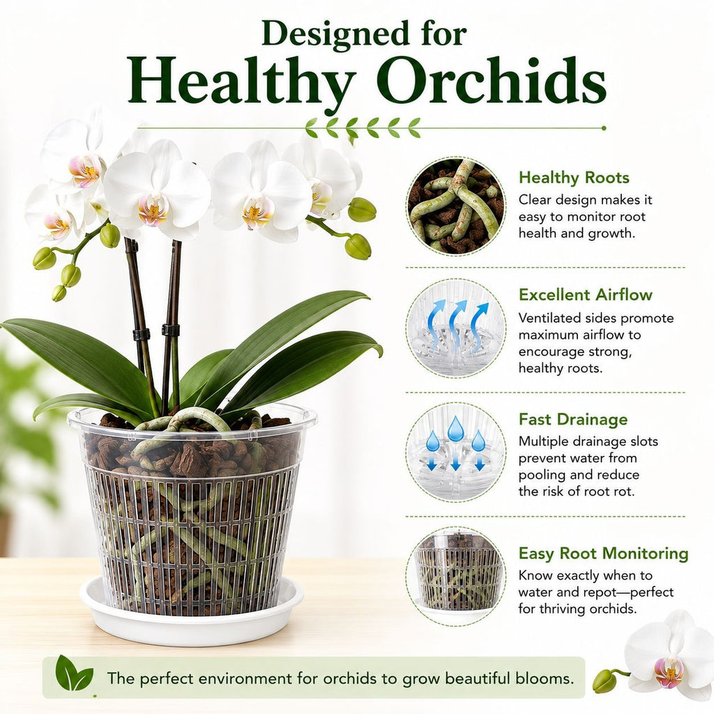5.5 Inch Clear Orchid Pot with White Saucer, Slotted Orchid Planter, Transparent Nursery Pot, Indoor Plant Pot