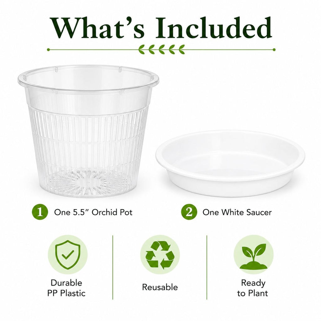 5.5 Inch Clear Orchid Pot with White Saucer, Slotted Orchid Planter, Transparent Nursery Pot, Indoor Plant Pot