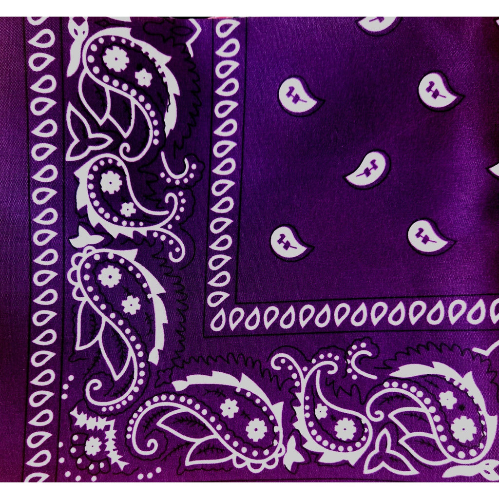 Turquoise Purple Colorful Bandanas 21x21 Inch Square Western Style Scarves Set of 2