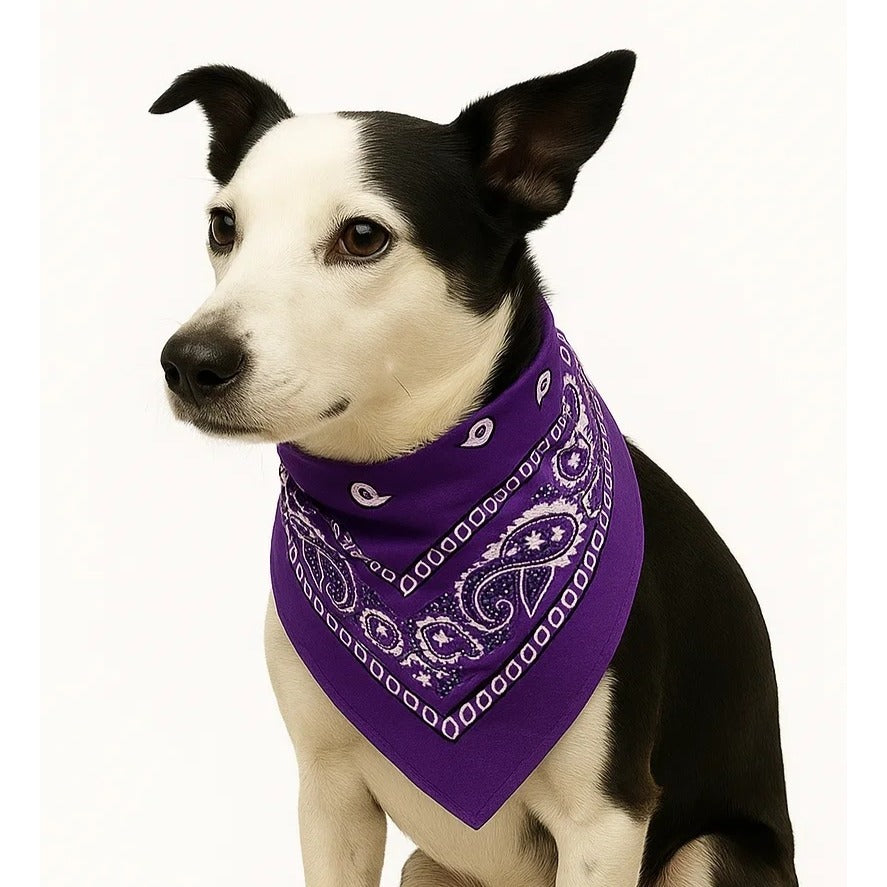 Turquoise Purple Colorful Bandanas 21x21 Inch Square Western Style Scarves Set of 2