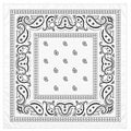 White Black Paisley Wild Rag Scarf 35x35 Satin Western Cowboy Bandana