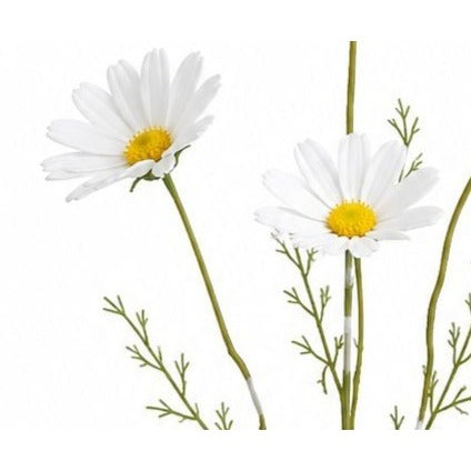 White Faux Daisy Stem 20 Inch Artificial Wildflower Set of 5 Farmhouse Floral Decor