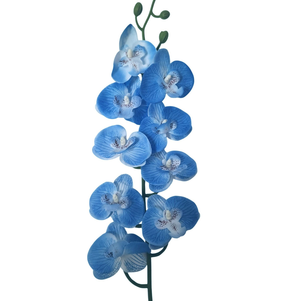 Blue Phalaenopsis Orchid Stem, 28-Inch Artificial Silk Tropical Flower
