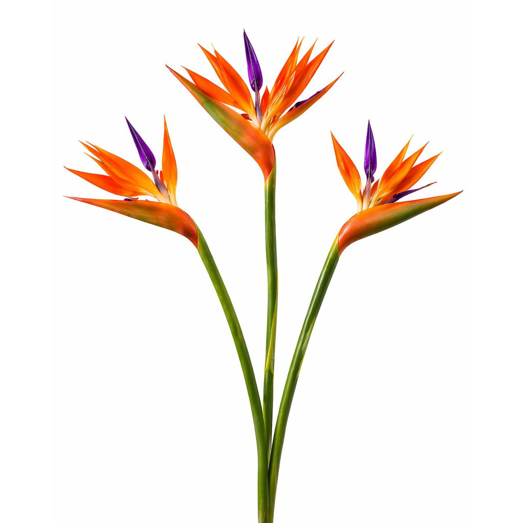 Artificial Bird of Paradise Flowers Realistic Strelitzia 3 Stem Bundle