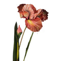 Luxury Artificial Iris Flower 33 Inch Tall Hand Painted Look Terracotta Pink Faux Floral Stem
