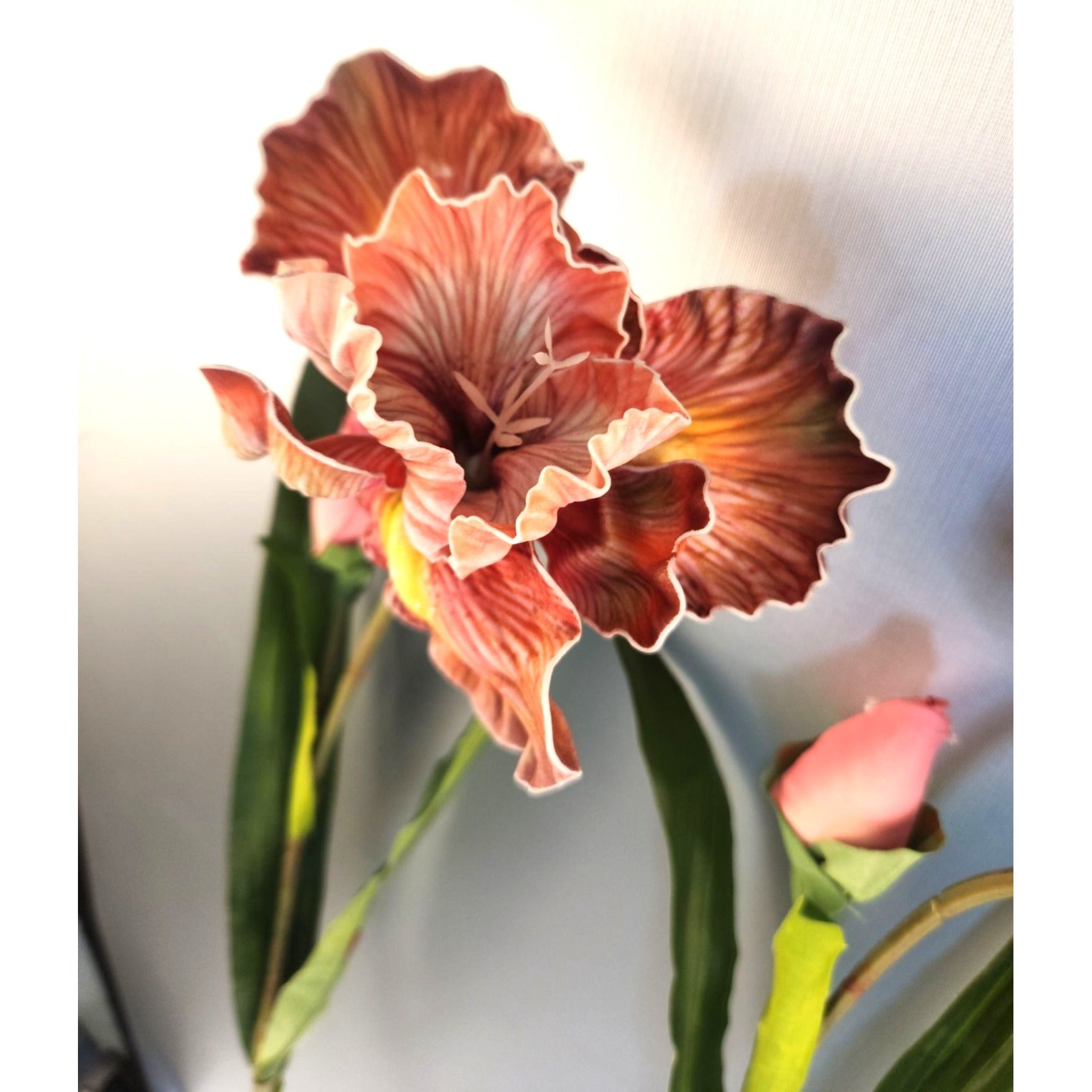 Luxury Artificial Iris Flower 33 Inch Tall Hand Painted Look Terracotta Pink Faux Floral Stem