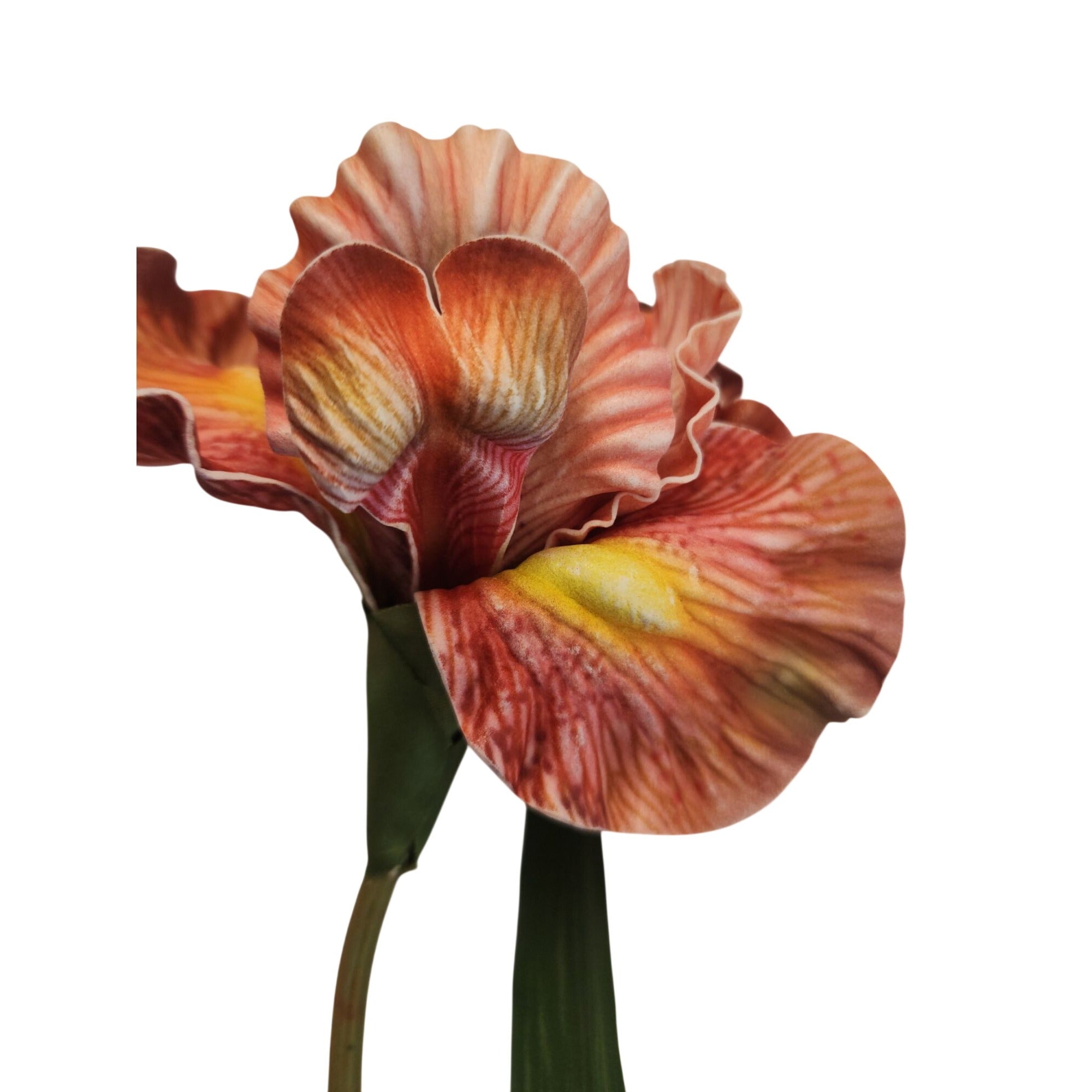 Luxury Artificial Iris Flower 33 Inch Tall Hand Painted Look Terracotta Pink Faux Floral Stem