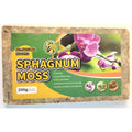 Natural Sphagnum Moss 7.05 oz, Tan Beige Long Fiber Moss for Succulent Wreaths Hanging Planters Floral Crafts