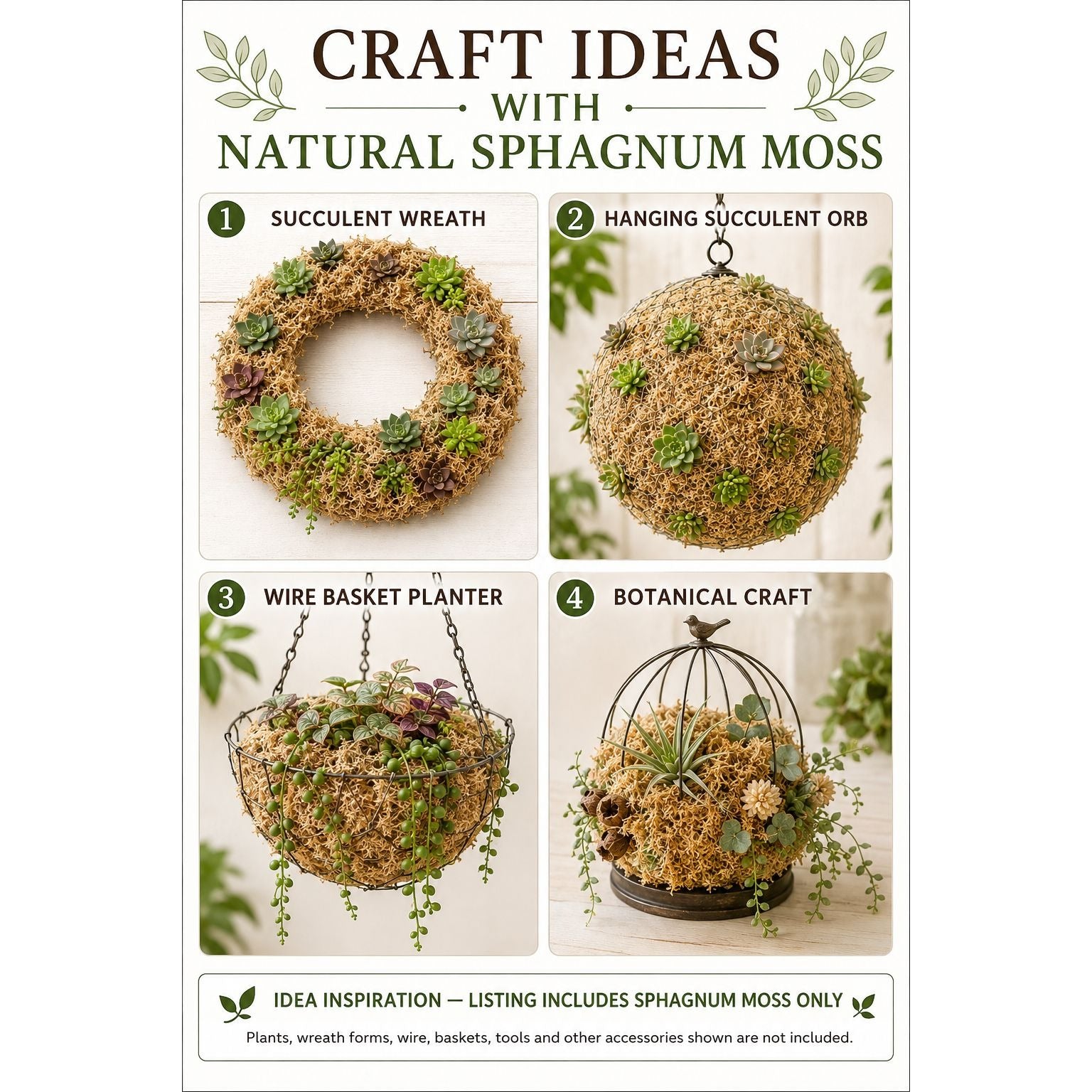 A craft guide poster titled 'CRAFT IDEAS WITH NATURAL SPHAGNUM MOSS' showing four numbered project ideas: succulent wreath, hanging succulent orb, wire basket planter, and botanical craft, with photos of each finished item on a light background.
