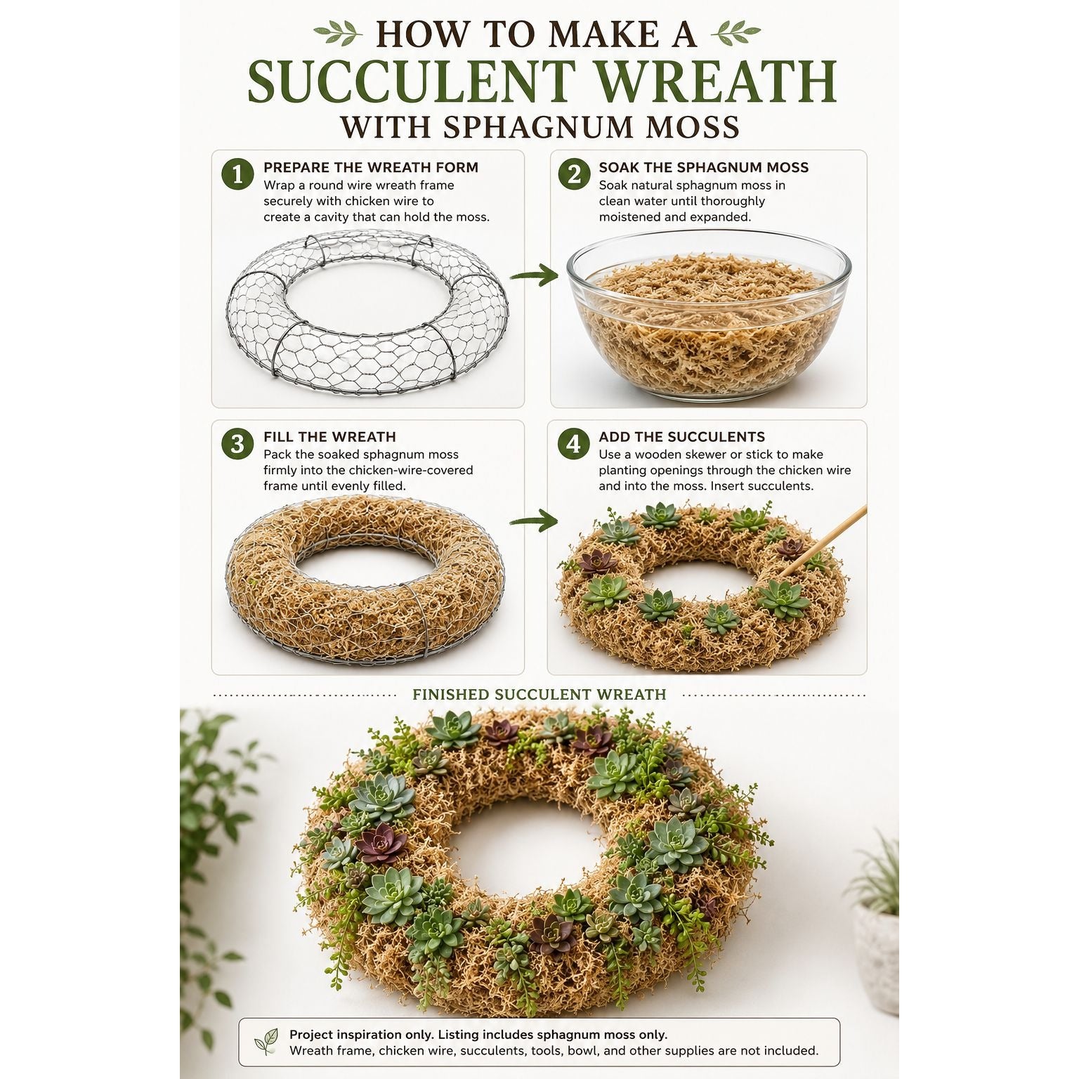 An instructional infographic titled 'HOW TO MAKE A SUCCULENT WREATH WITH SPHAGNUM MOSS' with four step-by-step panels showing a chicken-wire wreath, sphagnum moss, and succulents, plus a finished example at the bottom.