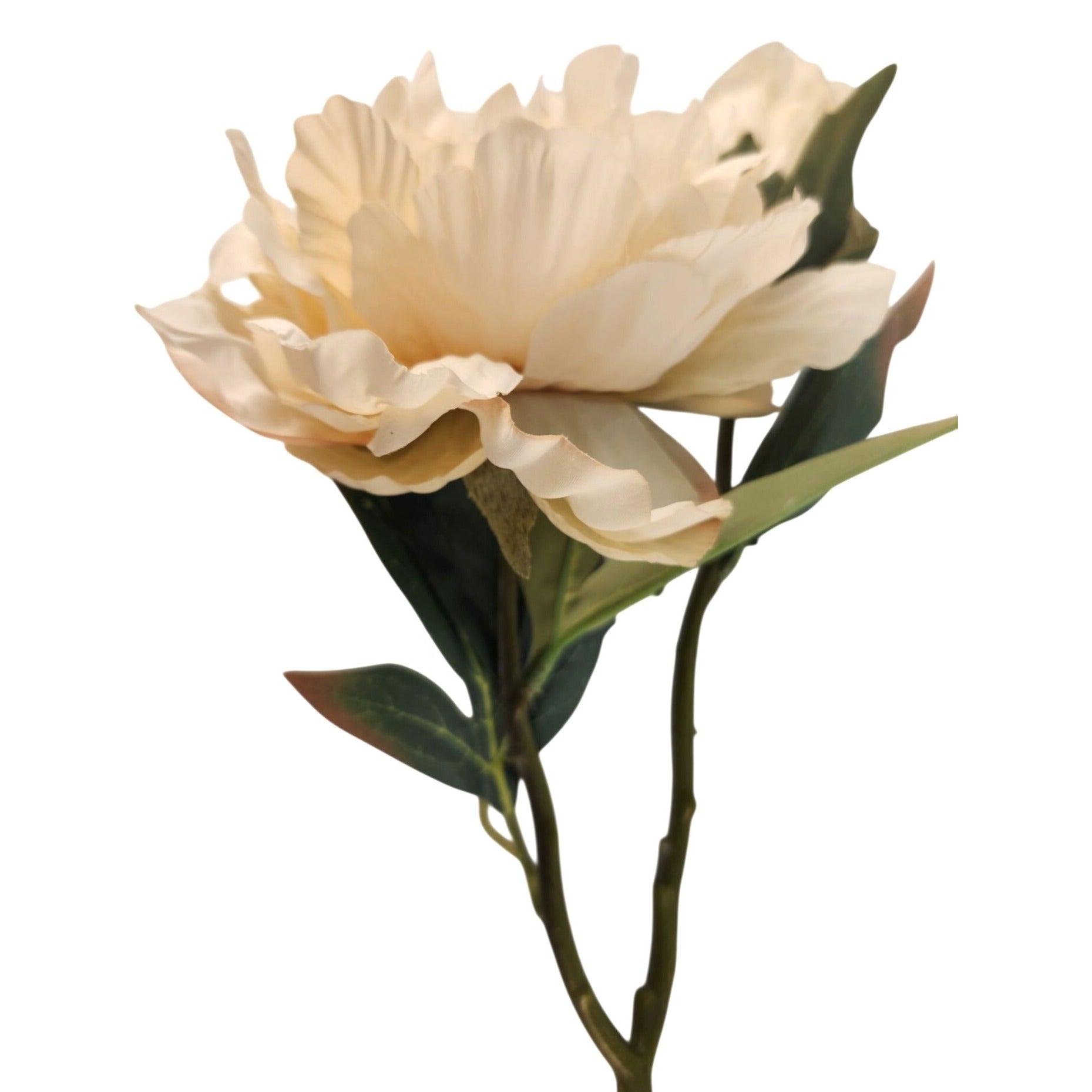 Cream Ivory Faux Peony Stem 18 Inch Wedding Artificial Silk Flower Neutral Decor