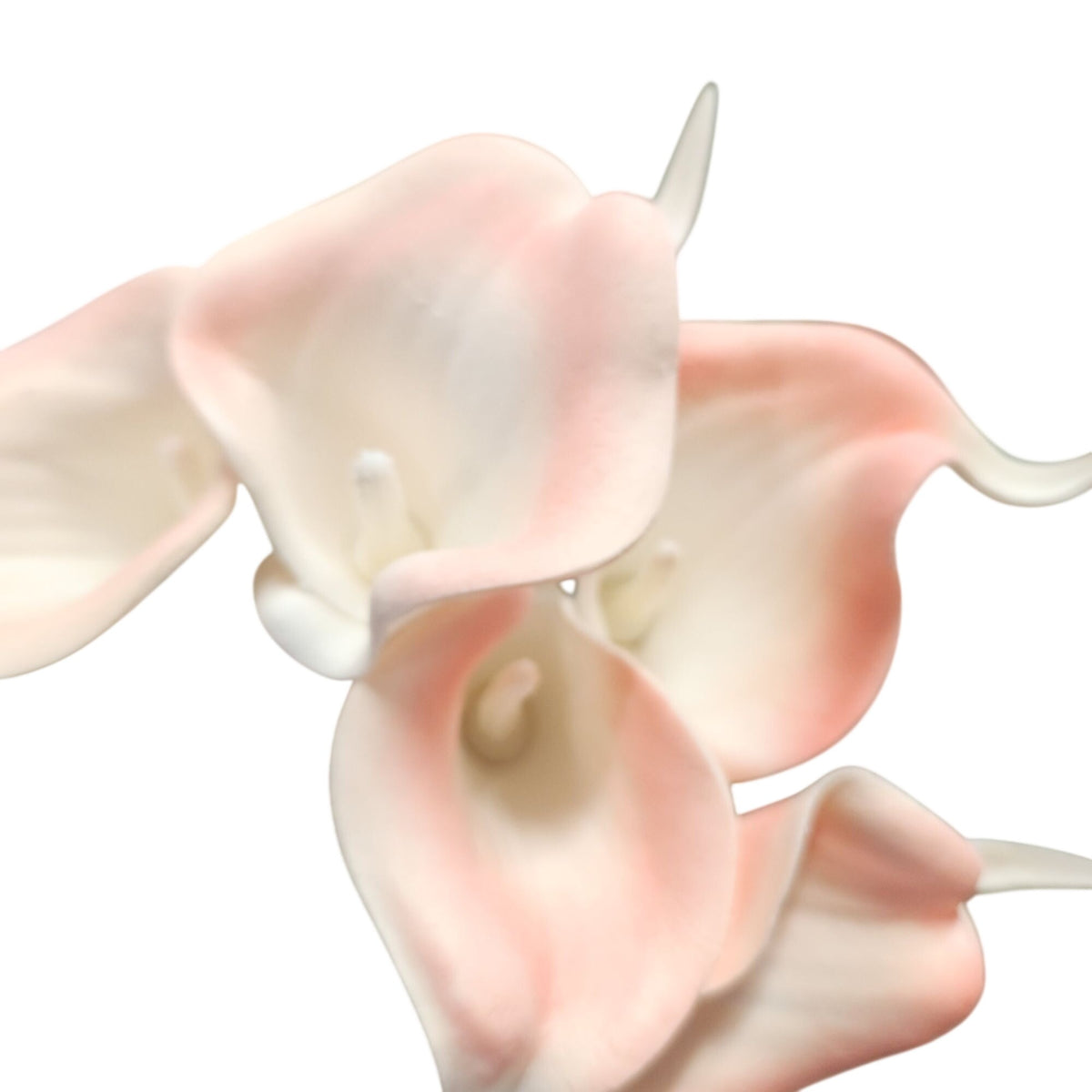 Blush Coral Artificial Calla Lily Stems, Set of 5, 15 Inch, Wired