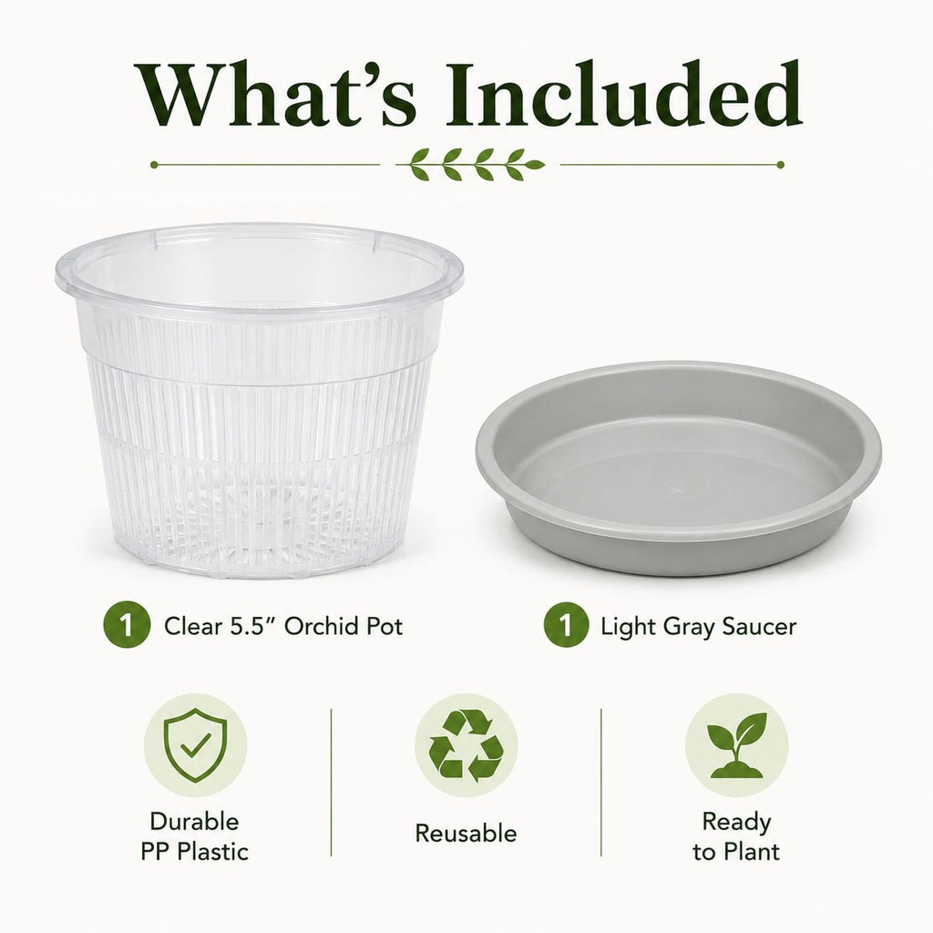 5.5 Inch Clear Orchid Pot with Saucer Slotted Planter Transparent Indoor Houseplant Repotting Pot