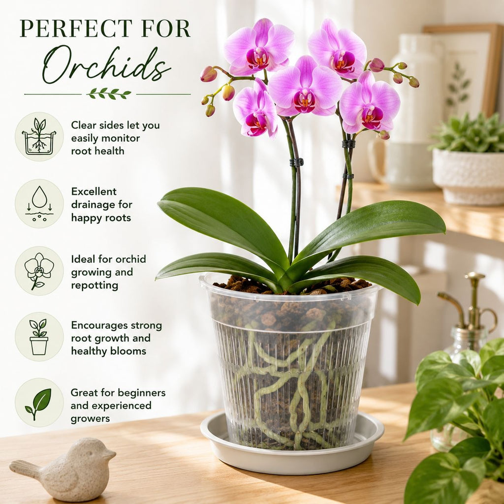5.5 Inch Clear Orchid Pot with Saucer Slotted Planter Transparent Indoor Houseplant Repotting Pot
