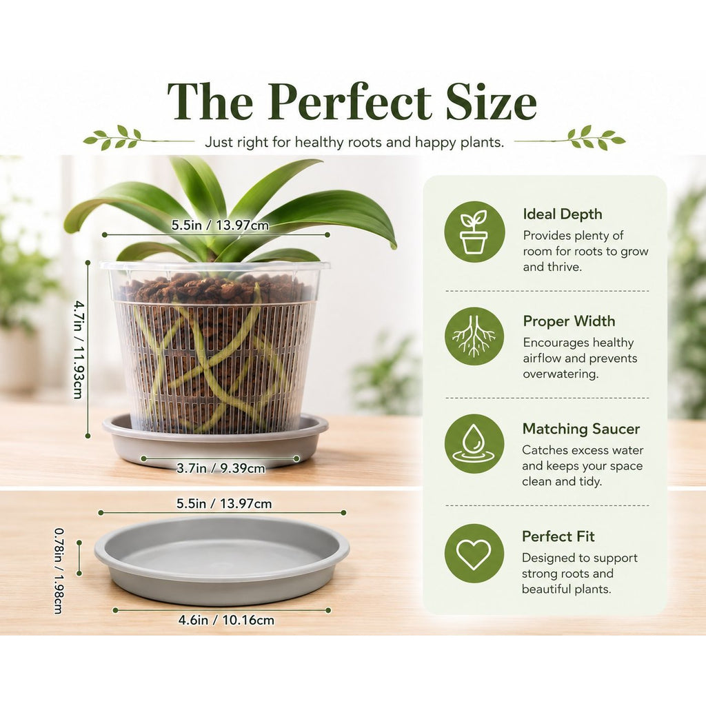 5.5 Inch Clear Orchid Pot with Saucer Slotted Planter Transparent Indoor Houseplant Repotting Pot