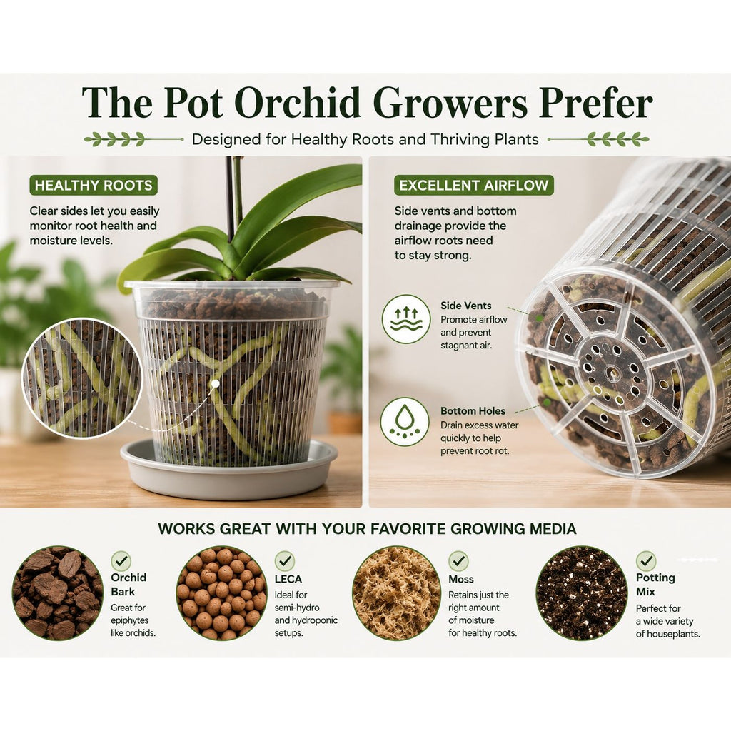 5.5 Inch Clear Orchid Pot with Saucer Slotted Planter Transparent Indoor Houseplant Repotting Pot