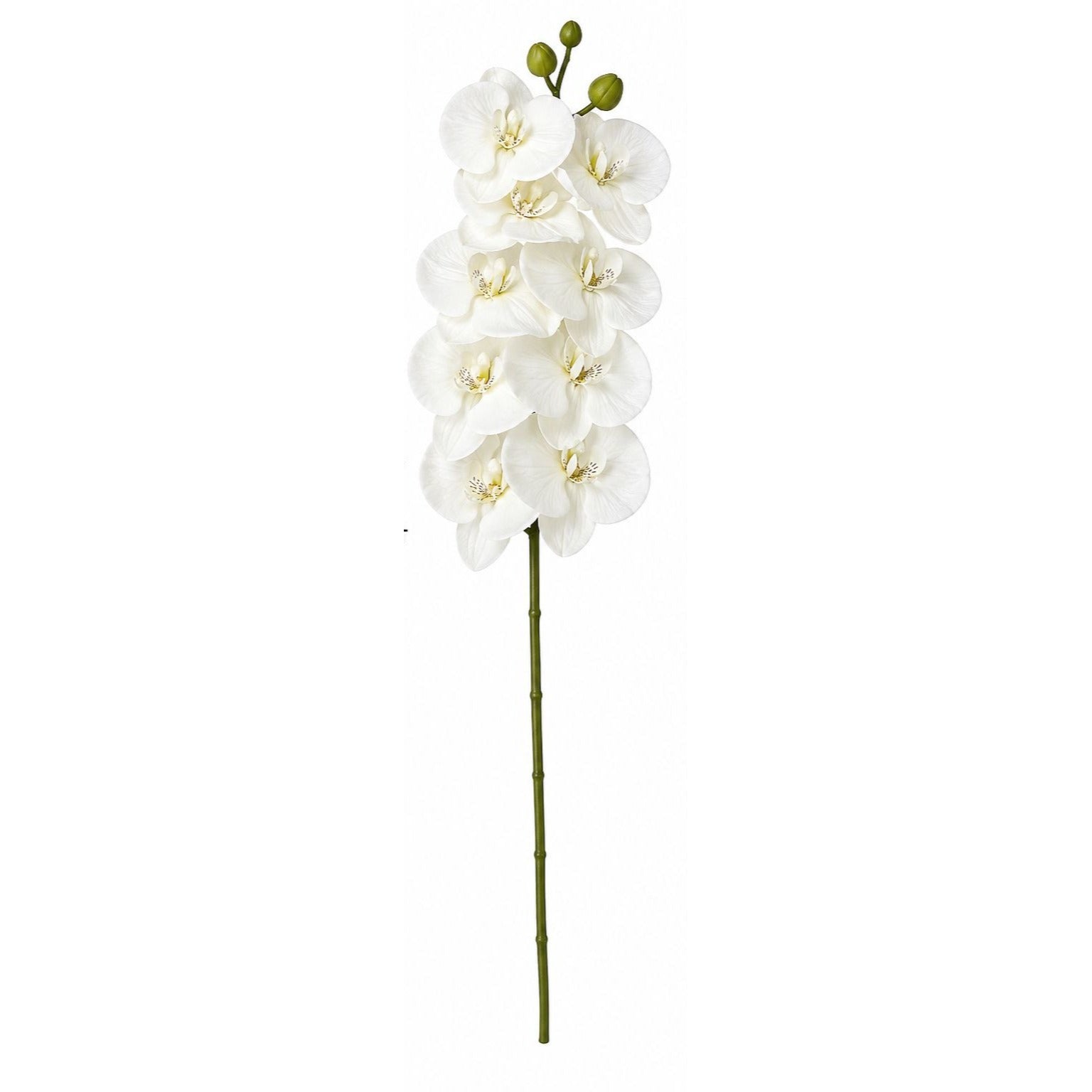 White Orchid Stem Artificial Floral Pick 26 Inch Ivory White Faux Orchid Spray