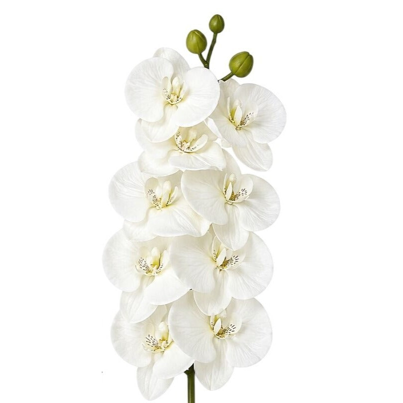 Artificial white orchid flower arrangement on a white background