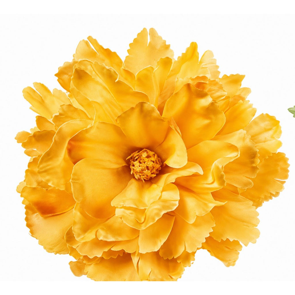 Close-up of a bright yellow flower with a white background