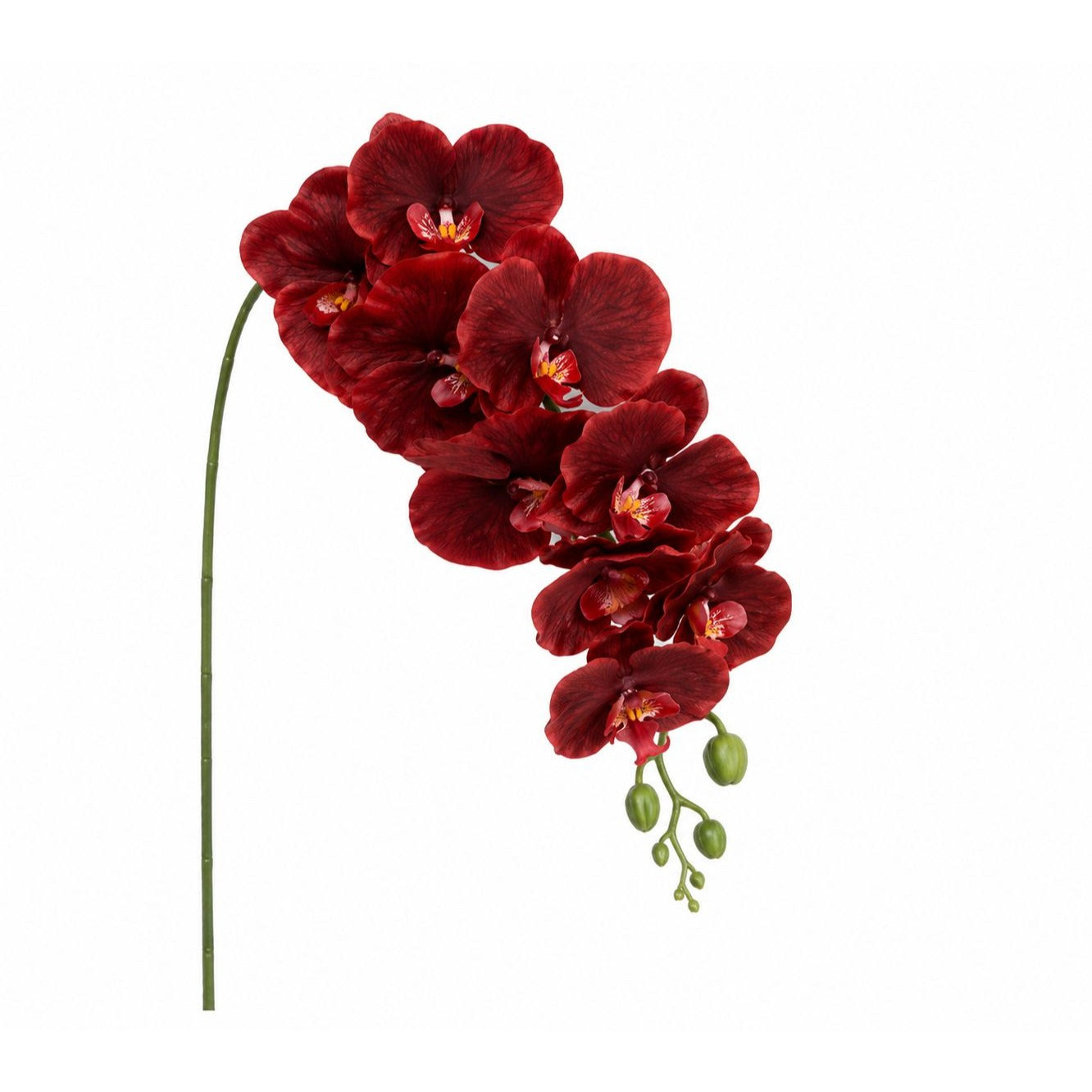 Real Touch Burgundy Orchid Stem 38 Inch Faux Phalaenopsis Orchid Luxury Artificial Flower Wedding Tropical Home Decor