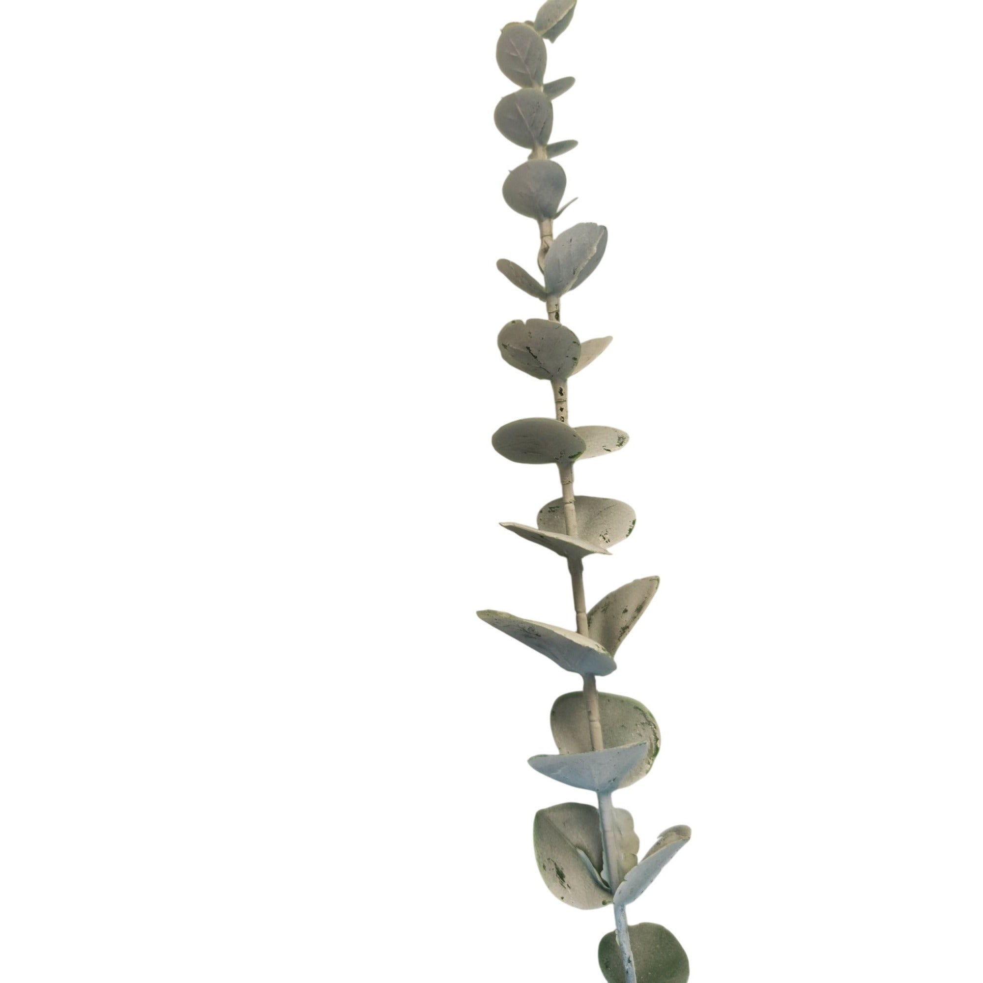 Baby Blue Eucalyptus Stems Bulk 20 Pcs Spiral Faux Greenery Wedding Decor