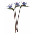 Bird of Paradise Stems Set of 3 Faux Tropical Flowers 30 Inch Tall Moody Blue Purple Artificial Strelitzia Modern Home Decor