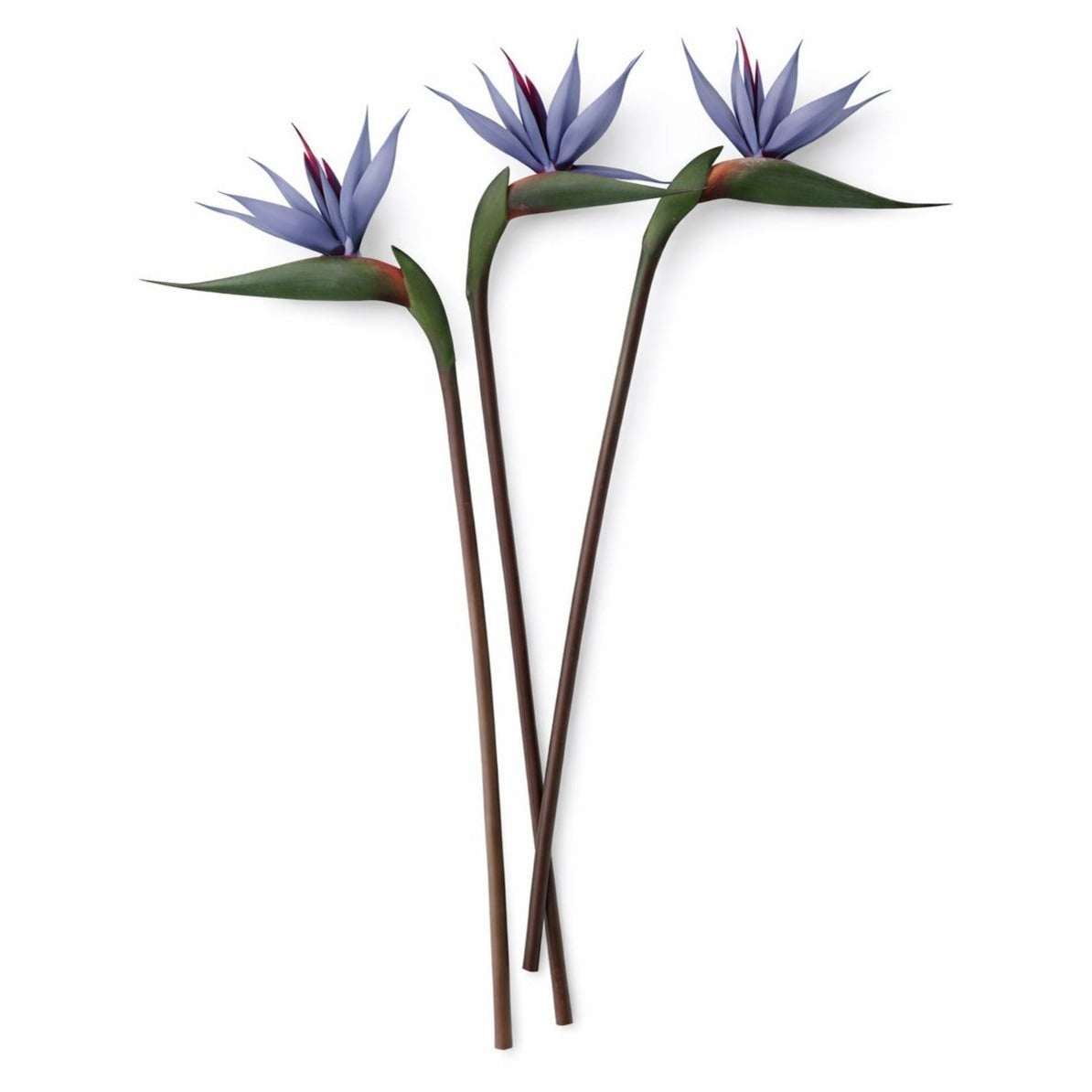 Bird of Paradise Stems Set of 3 Faux Tropical Flowers 30 Inch Tall Moody Blue Purple Artificial Strelitzia Modern Home Decor