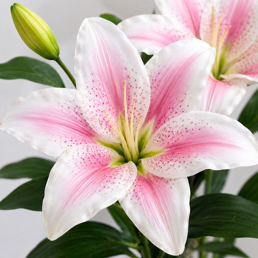 Real Touch Blush Pink Stargazer Lily Stems Set of 2, Artificial Lily Flowers, Faux Wedding Flowers, Pink Lily Spray, French Country Decor, C